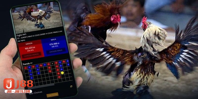 Sảnh đá gà J88 xanh chính hàng đầu châu Á