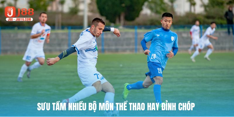 Sưu tầm nhiều bộ môn thể thao hay đỉnh chóp 